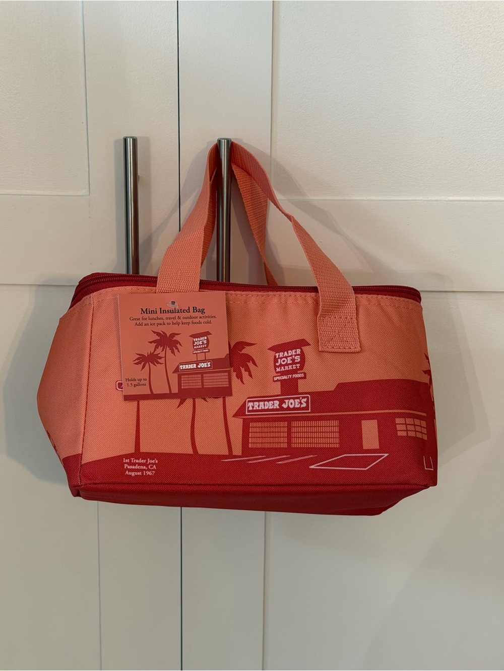 Coral Red Insulated Mini Tote Bag